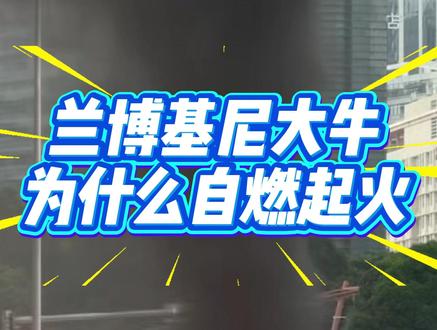 兰博基尼大牛为什么容易自燃起火,如何避免自燃起火,重点定期检查发动机是否漏油,特别是避震漏,容易漏在排气管上面,导致起火,然后是排气温度传感器是否报故障,失去排气温度检测功能,导致发动机过热保护失效,排气烧红,温度过高起火,然后排查线速老化,管路老化,散热等问题 #兰博基尼大牛 #兰博基尼大牛自燃 #汽车自燃