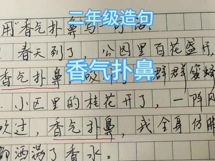 二年级造句,香气扑鼻#造句 #香气扑鼻
