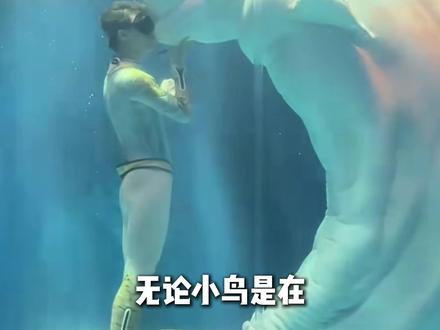 无论小鸟是在反抗还是在哭泣,你都写成小鸟在歌唱。 拒绝动物表演从来不是圣母心,而是对生命最基本的敬畏!#拒绝动物表演 #动物保护#白鲸 #苏菲 #鲸鱼的厌恶最终变成攻击