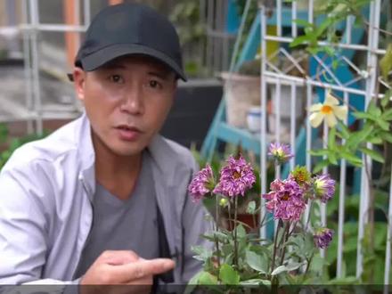 植物出现真菌感染,喷杀菌药轻松搞定