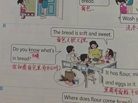 冀教版小学英语三下第一单元第三课,单词也太多了😇 #冀教版小学英语 #三下英语 #学习打卡ing #伙伴计划