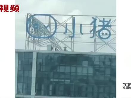 福建总代理招牌被拆?平台现异常?创业者投诉 “小猪优版”提现难