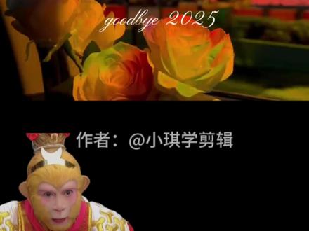 回顾2025#回顾2025 #年度总结 #剪辑 #教程 #剪辑教程