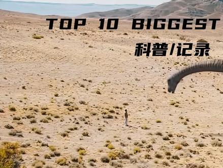 你无法想象的巨型动物#史前巨兽 #动物科普 @DOU+小助手