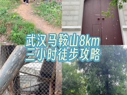 武汉马鞍山森林公园8km三小时徒步攻略
🅿️ 武汉马鞍山森林公园南门驿站停车场
👭三小时徒步路线:南门驿站—眠云卧石—团山—巴家山—凌霄阁—马术俱乐部—猴山—界碑—吹笛社区—南门驿站(景区很大,如果只想看猴子可以将车停在猴山停车场)
📷著名拍照网红打卡点粉色地肤草在南门附近,走过去一看就知道了,人真的巨多~
🌰打板栗的地方视频中有展示~眠云卧石大门向右边的小土路上去有很多板栗树,打板栗要注意安全了~
☺️整体感受:景区很大比起徒步更适合游玩,人挺多的,个人感觉标识不够清晰,本来想爬山为主不知不觉成了压马路了,有点找不着北😬
💰无门票,停车3元/小时#vlog十亿流量扶持计划 #徒步旅行 #武汉爬山徒步 #每一段路途都有存在的意义 #徒步旅行