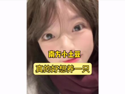 南方小土豆到底有多可爱啊#女大学生 #南方小土豆 #q版大学生 #搞笑