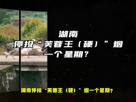湖南停投“芙蓉王(硬)”烟一个星期?若属实,其信息量很大哦