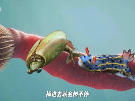寒武纪最诡异杀手,没眼没脑,却靠翻肠子捕猎,需要电影里的大虫子都有它的影子#科普 #科普一下 #奥托虫#青年创作者成长计划