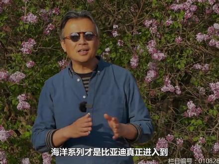 比亚迪海豚,做成了电动车最难的事 #抖音汽车 #夏东评车 #比亚迪海豚