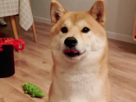 蒸出来的糯米饭不好吃,不Q弹的看过来!云南傣族的秘诀#糯米饭做法 #云南糯米饭 #在家做美食