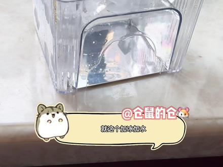 主人 你终于舍得给我买介个降温小屋了#仓鼠 #金丝熊