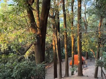 一个人不社交 去秘密基地做意式咖啡 露营带上这台便携咖啡机
就能在山野间萃出油脂丰盈的浓缩
咖啡香混着草木味,才是顶配露营体验~#露营咖啡 #露营装备 #轻量化露营 #露营漫时光