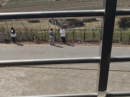 小朋友间的告别
再见或已不少年
#返程路上