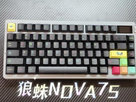 狼蛛——NOVA75三模机械键盘(269)
#狼蛛#狼蛛nova75#无畏契约
