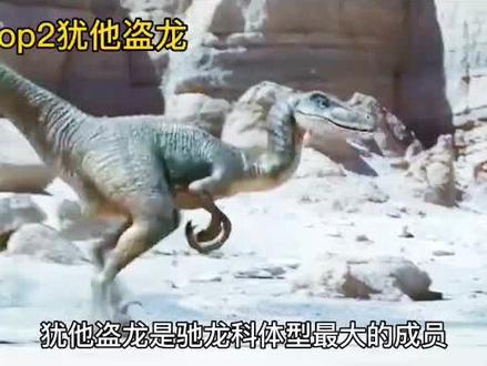 史前十大凶猛恐龙Top2#犹他盗龙#恐龙 #侏罗纪