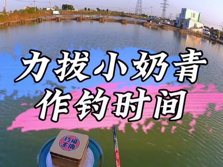 钓青鱼该如何选择出钓时间?
#2022dou来钓鱼 #无铅钓法 #黑坑青鱼 #抖音钓鱼人 #原来钓鱼才是抖音运动顶流