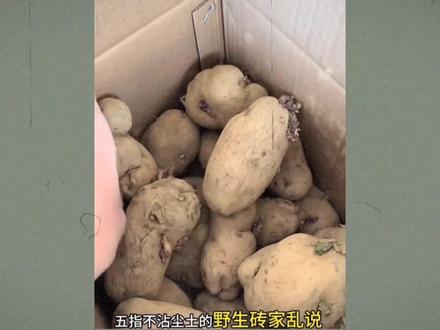 “发芽土豆光卖不吃,博主还是太有心机了!”#智慧#难绷#吐槽#奇葩