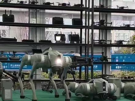 央视春晚宇树机器人大火,同款机器人维修组装 机器人机器狗维修工程师技能培训#机器人 #机器狗 #机器人维修 #机器人跳舞