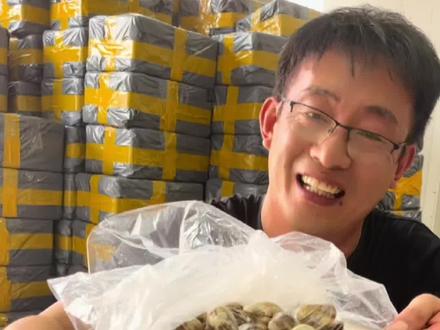 无沙大蛤蜊很耐活,吃不完放冰箱保鲜保存能活一个星期#海鲜 #海鲜原产地