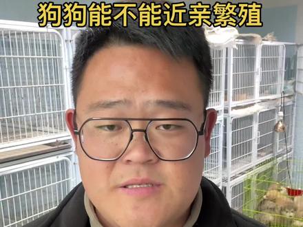 关于狗狗的近亲繁殖问题