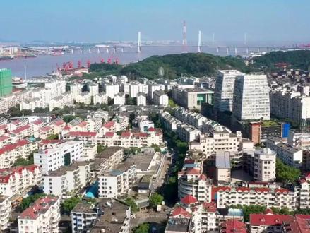 4元低价隐形冠军 #财经