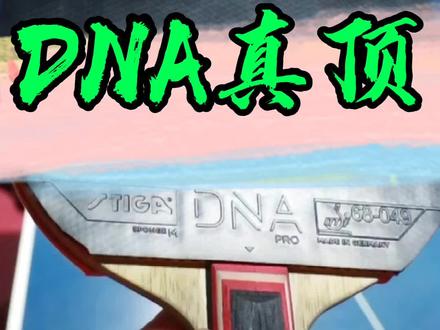 乒器谱-斯帝卡DNA pro套胶 #八戒乒乓 @陈超@anthony
