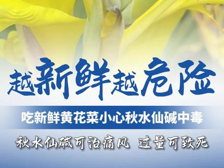 #广东dou知道 黄花菜居然越新鲜越危险。