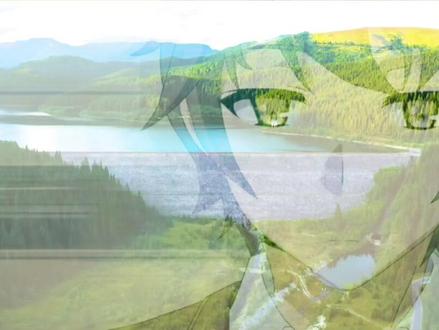 抖音登陆怎么跳过身份核对?#抖音登陆要核对信息 #抖音登陆不了#抖音登陆需要实名核对 #跳核对#抖音登陆验证