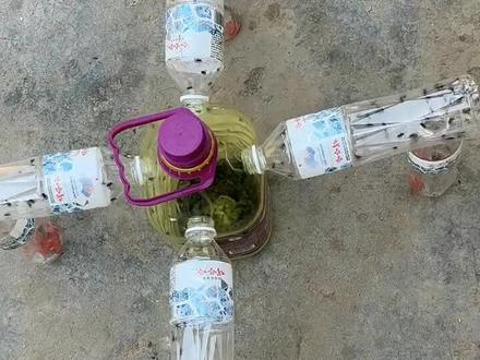 捕蝇神器及制作教学视频……#捕蝇神器