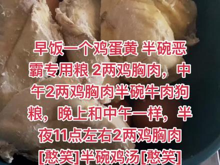 #恶霸犬的日常生活 有点养不起了🐷🐷🐷