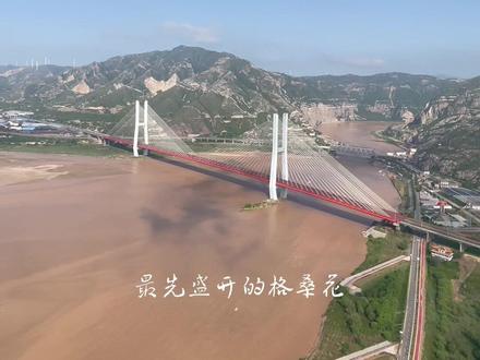 飞越禹门口黄河大桥#飞机上的美景
