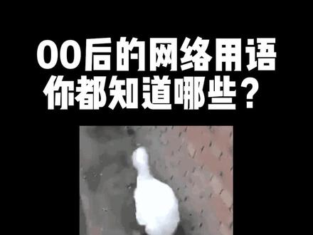 所以谁知道lllb是什么意思?