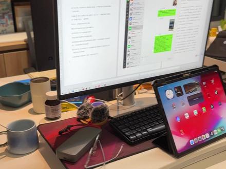 六六特别好养,在办公桌养一条萌呆了 #养鱼日记 #六角龙