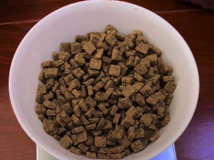 4个月大狗狗100g狗粮不少吧#边牧日常 #边牧