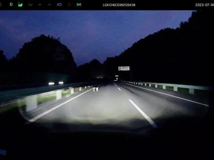 #比亚迪海豹 操控怎么样自己去试驾就知道了,麋鹿测试83.5的车底盘会差吗?#底盘 #悬挂 #新能源领航计划
