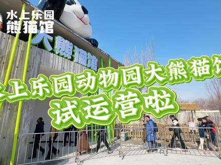 水上乐园动物园大熊猫馆开始试运行了! #新疆大熊猫#水上乐园动物园