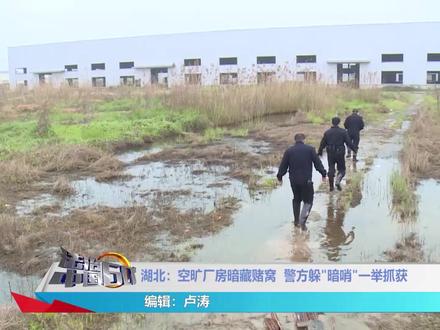 湖北:空旷厂房暗藏赌窝 警方躲“暗哨”一举抓获