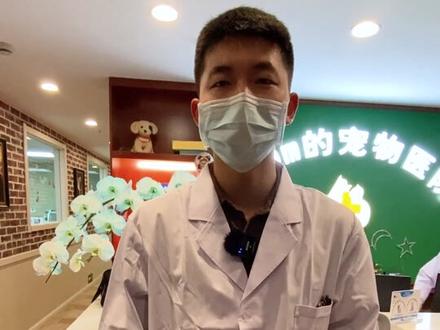 带大家看过了雪mm的豪华猫舍,再来看看她的#宠物医院 吧(中)