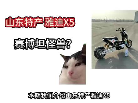 山东地上没有土 只有雅迪的X5 #雅迪x5 #电改 #九号e50s #赛博坦怪兽