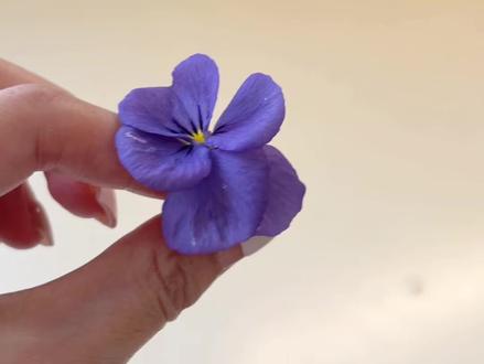 把春天做成杯垫!也太有氛围感了吧🌷
#拼豆 #手工杯垫 #春日氛围感 #治愈系手工 #拼豆教程