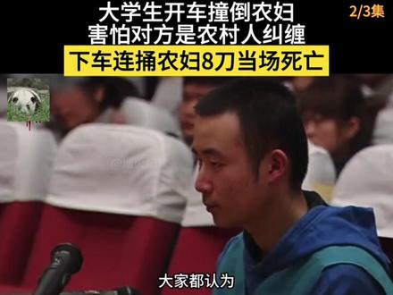 三观震碎!一念偏见酿致命悲剧,大学生撞倒无辜农妇,竟持刀八刀残忍杀害(2)#无知害人 #真实纪实 #触目惊心