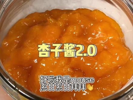杏子酱第二种做法来啦!趁杏子还没过季赶紧做起来呀!#自制果酱 #杏子 #杏子酱 #杏子酱的制作方法 #杏子蛋糕 @抖音小助手