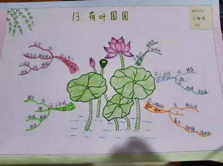 一年级下册《荷叶圆圆》思维导图,第一次画这种画,很实用。带孩子理清思路,快速预习复习,轻松学语文!#画画 #原创作品 #小学语文 #简笔画 #每天学习一点点 @抖音小助手