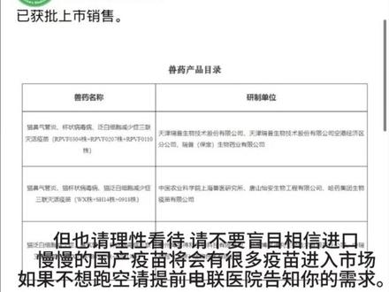 宠物医生看喵倍护