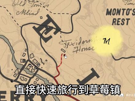 荒野大镖客2标本任务,抓负鼠,花鼠