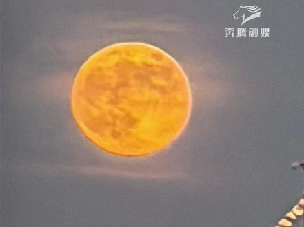 网友拍到2025年最后一次超级月亮升起 “落日未沉 明月已升” 似流金咸蛋黄 见者好运加载100%