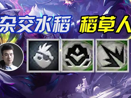 7混沌4精英5机甲,天罚稻草人!爆肝2天110场!