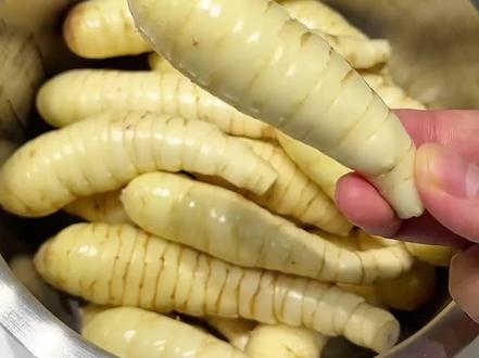 为什么说竹薯是我国最奇怪的植物?