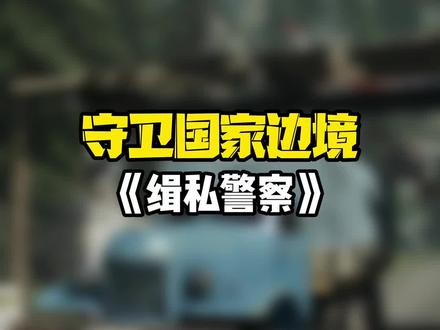 当一名边境检察官是什么体验?#steam游戏 #单机游戏