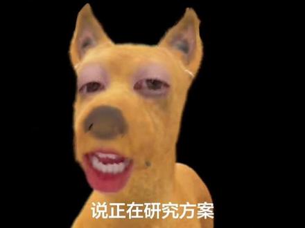 国投白银LOF出台补偿方案!2月26日可办理1000元以下损失全额补偿!!!退钱了兄弟们!!!